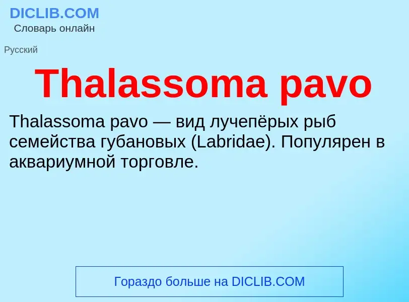 What is Thalassoma pavo - meaning and definition