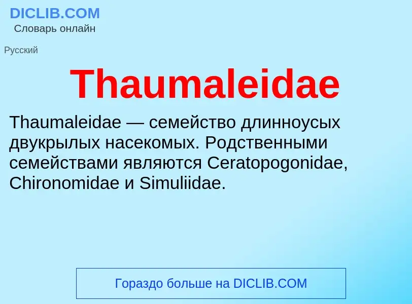 What is Thaumaleidae - meaning and definition