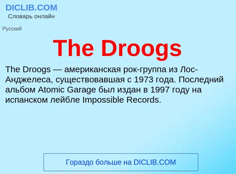 What is The Droogs - meaning and definition