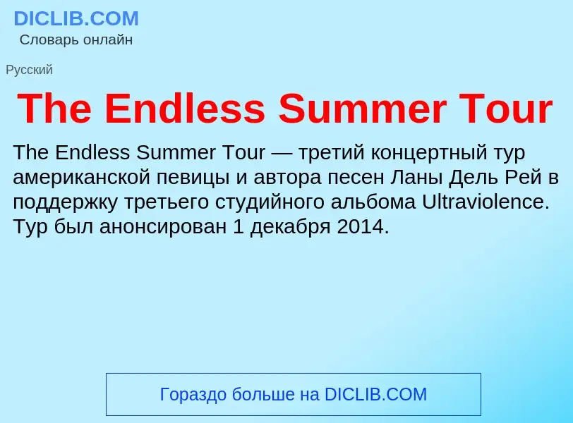 What is The Endless Summer Tour - meaning and definition