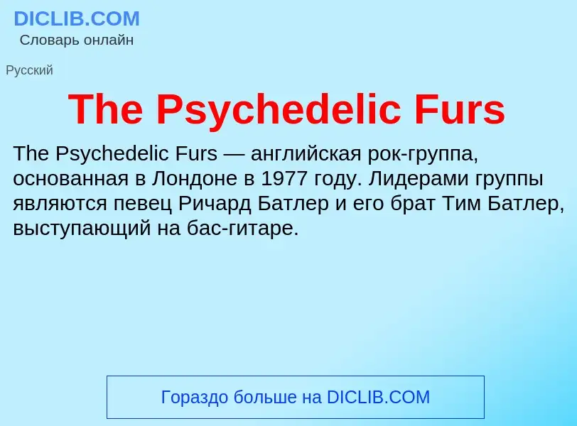 What is The Psychedelic Furs - definition