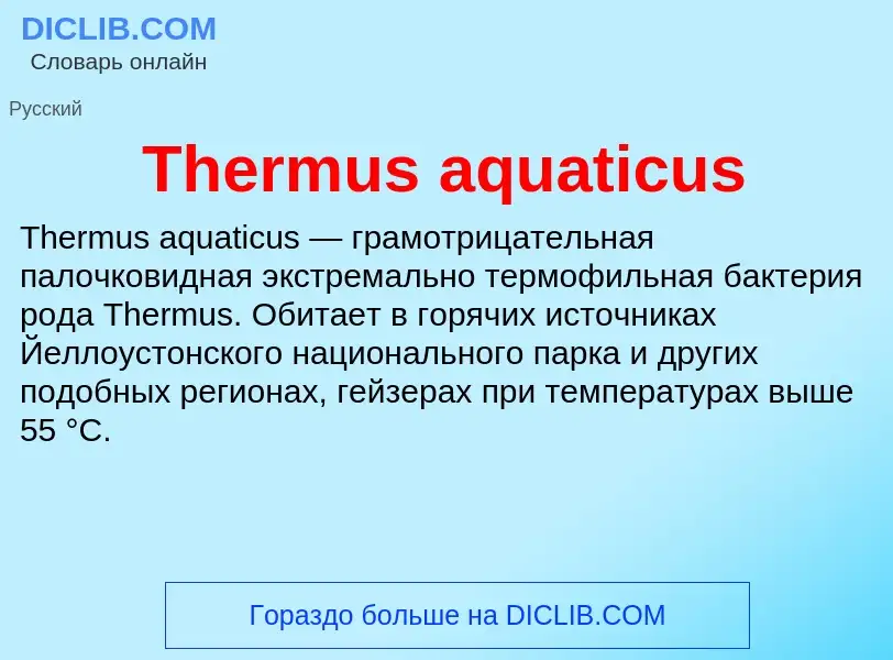 Что такое Thermus aquaticus - определение