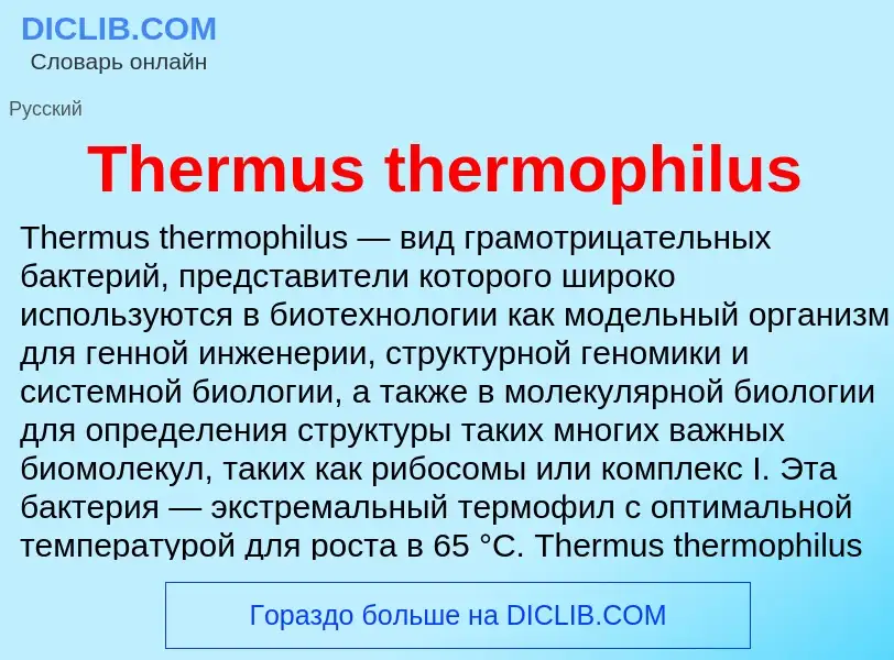 Что такое Thermus thermophilus - определение