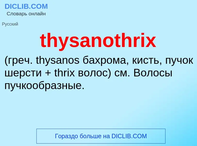 Wat is thysanothrix  - definition