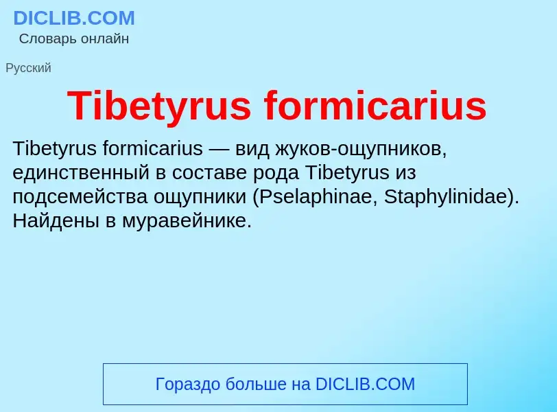 Что такое Tibetyrus formicarius - определение