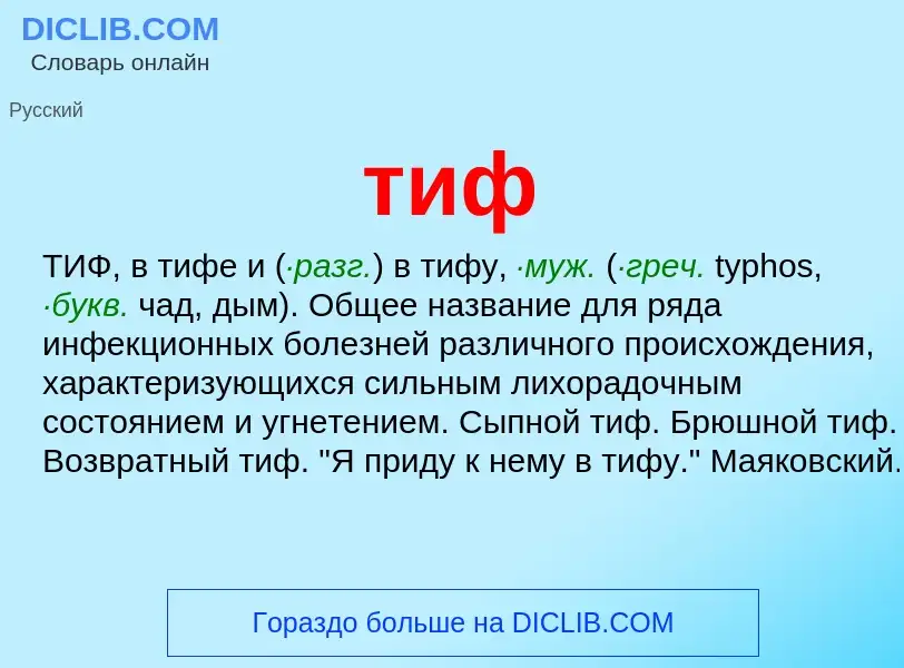 Что такое тиф - определение