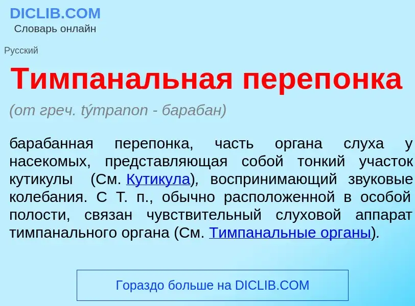 Wat is Тимпан<font color="red">а</font>льная переп<font color="red">о</font>нка - definition