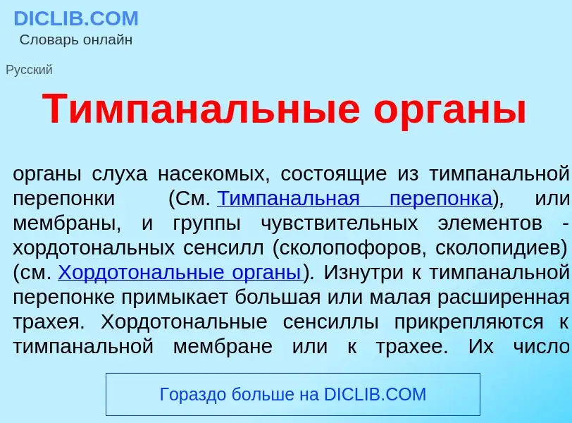 Что такое Тимпан<font color="red">а</font>льные <font color="red">о</font>рганы - определение