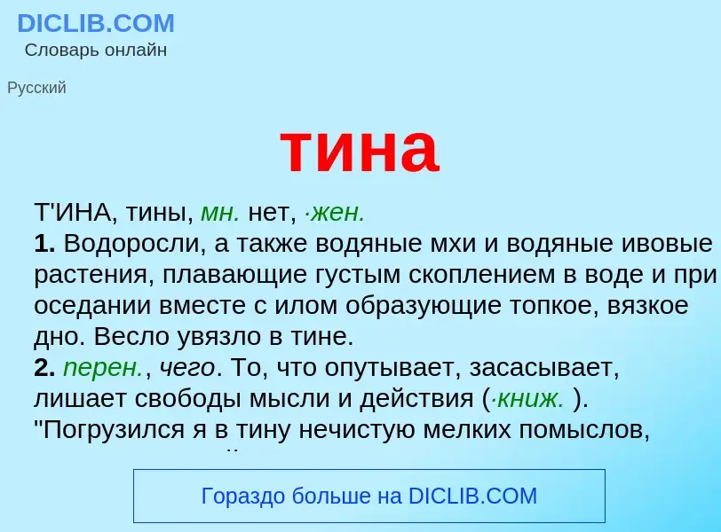 Что такое тина - определение