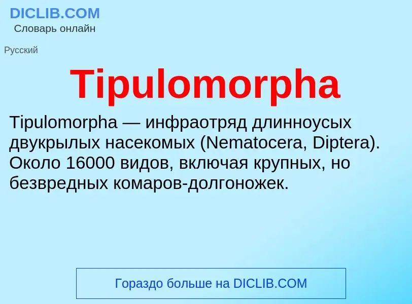 What is Tipulomorpha - definition