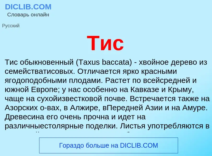 O que é Тис - definição, significado, conceito