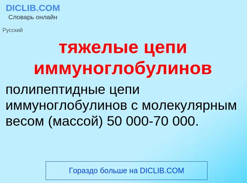 ¿Qué es тяжелые цепи иммуноглобулинов? - significado y definición