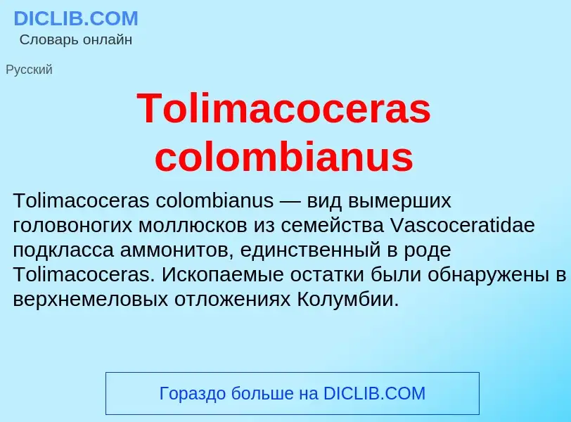 Что такое Tolimacoceras colombianus - определение