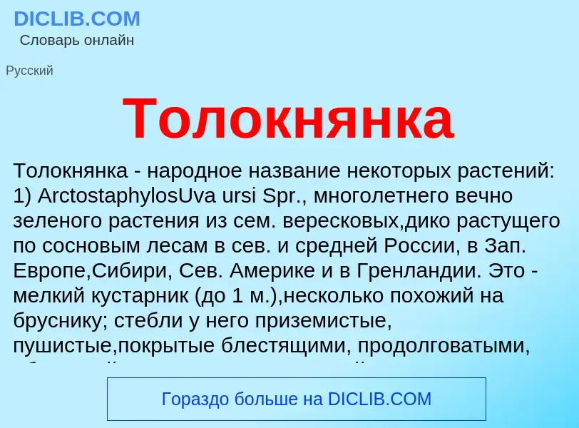 ¿Qué es Толокнянка? - significado y definición