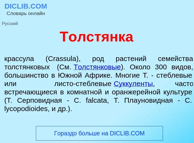 What is Толст<font color="red">я</font>нка - definition