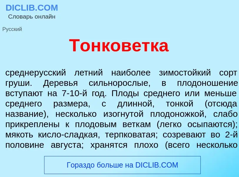 Che cos'è Тонков<font color="red">е</font>тка - definizione