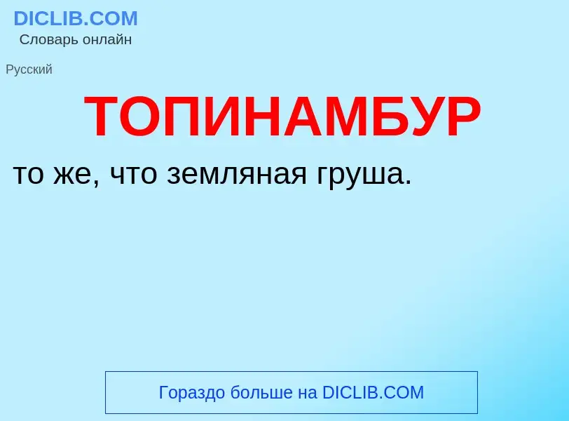 What is ТОПИНАМБУР - definition