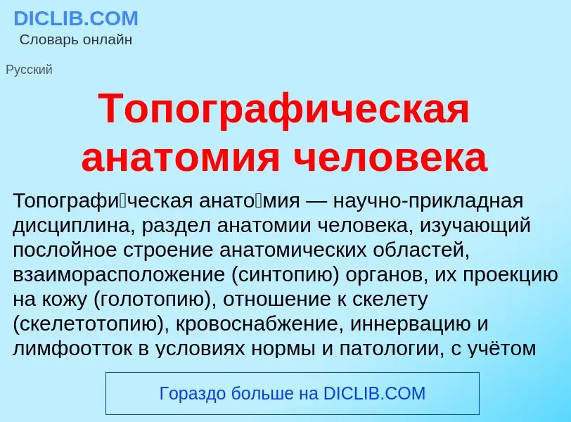 Что такое Топографическая анатомия человека - определение