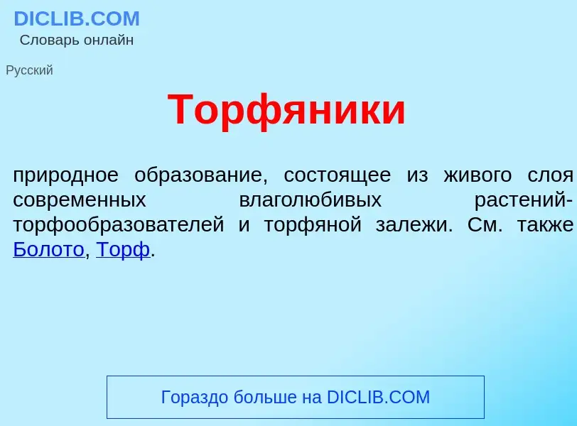 Что такое Торф<font color="red">я</font>ники - определение