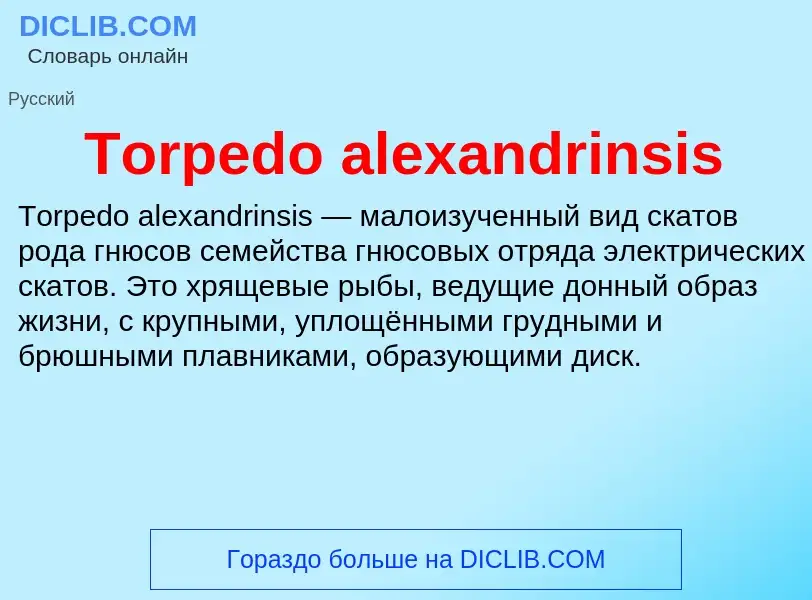 Wat is Torpedo alexandrinsis - definition