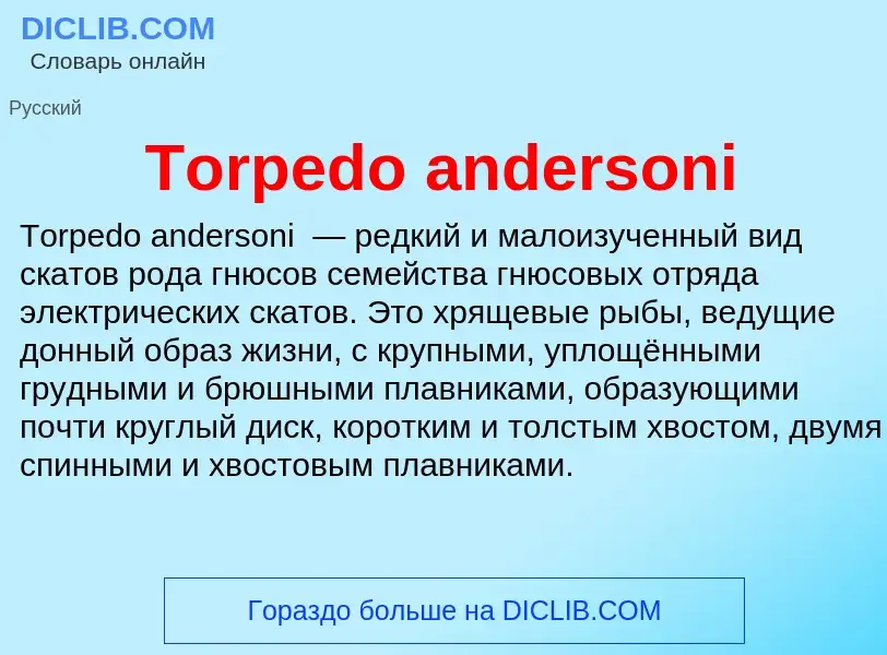 Wat is Torpedo andersoni - definition