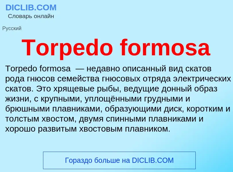 Wat is Torpedo formosa - definition