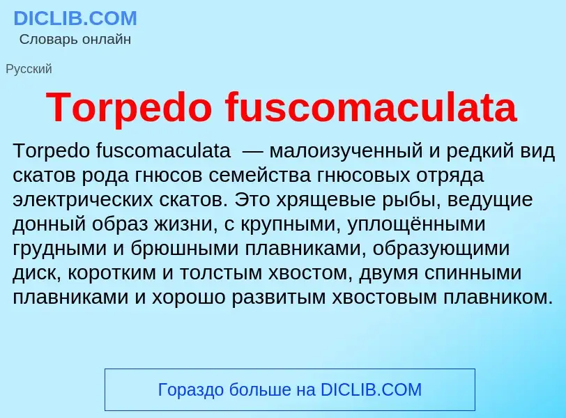 Wat is Torpedo fuscomaculata - definition