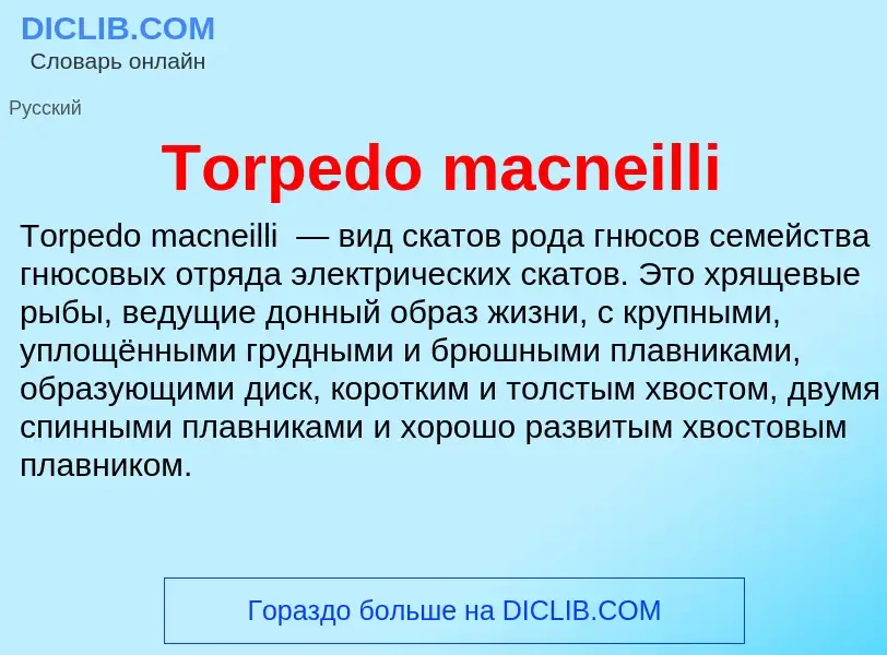 Wat is Torpedo macneilli - definition