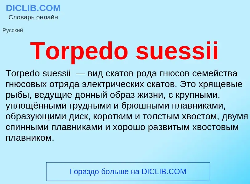 Wat is Torpedo suessii - definition