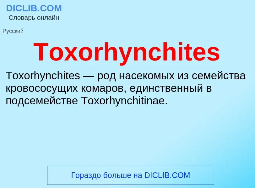 Che cos'è Toxorhynchites - definizione