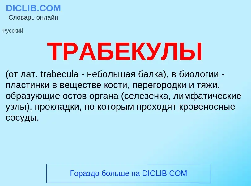 What is ТРАБЕКУЛЫ - definition