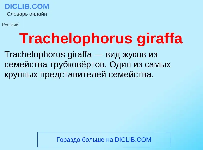 Che cos'è Trachelophorus giraffa - definizione