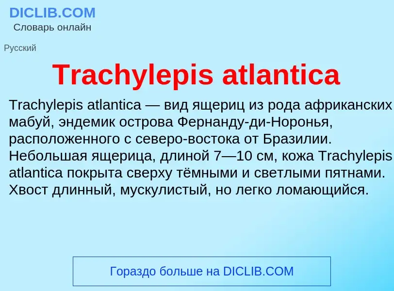 What is Trachylepis atlantica - definition