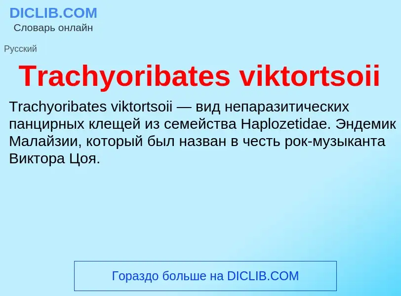 What is Trachyoribates viktortsoii - definition