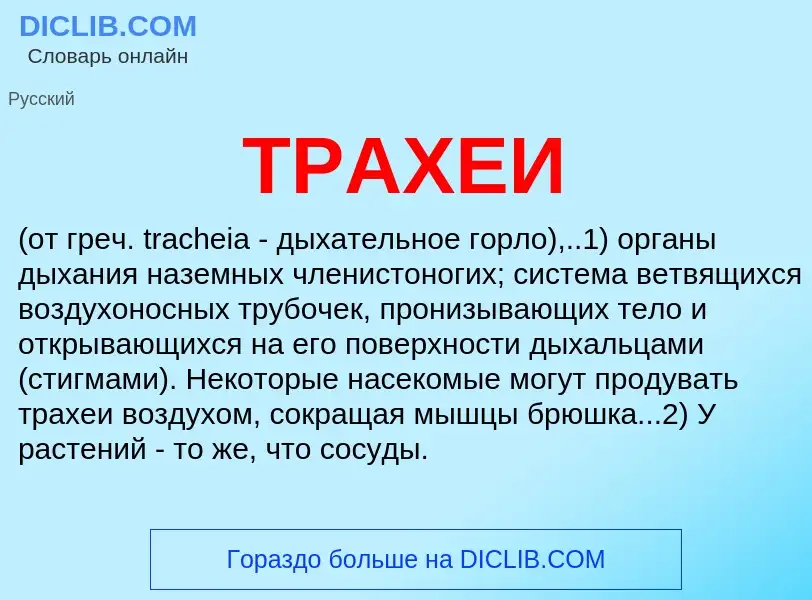 Что такое ТРАХЕИ - определение