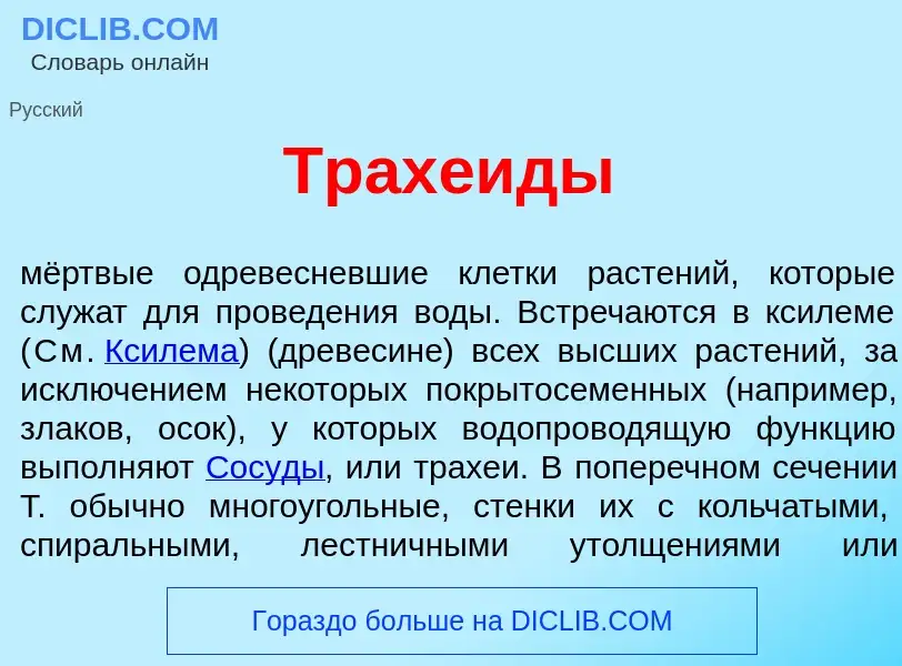 Wat is Трахе<font color="red">и</font>ды - definition