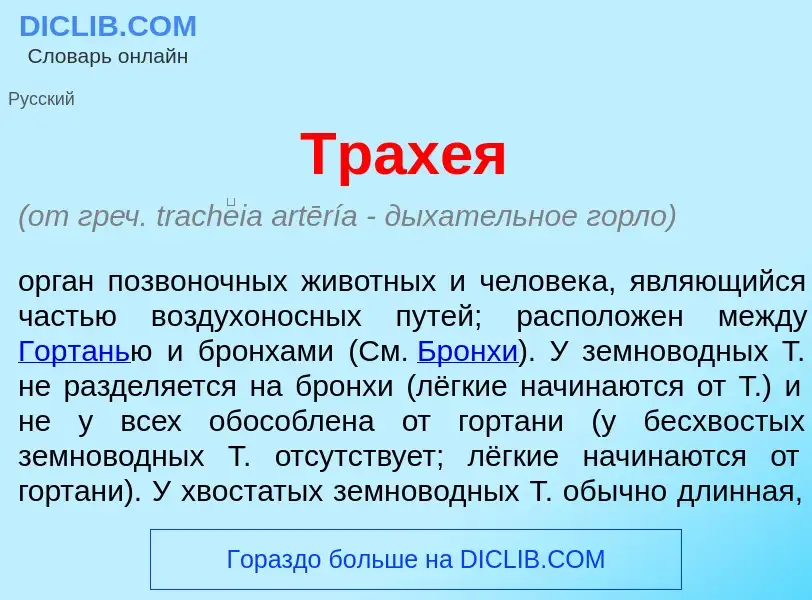 What is Трах<font color="red">е</font>я - definition