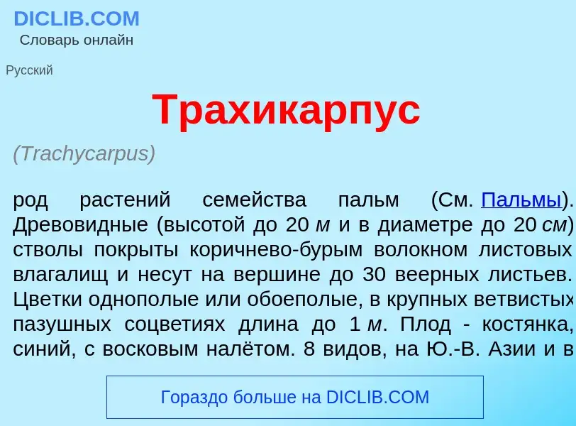 What is Трахик<font color="red">а</font>рпус - definition