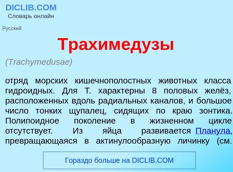 What is Трахимед<font color="red">у</font>зы - definition