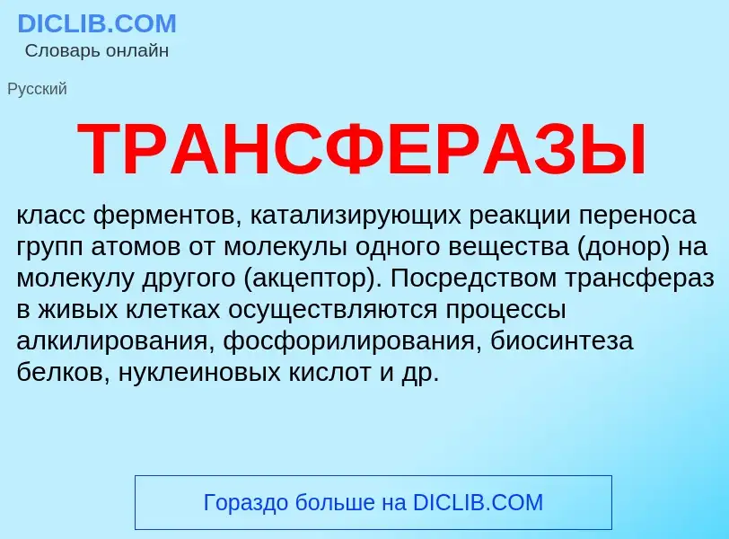 Что такое ТРАНСФЕРАЗЫ - определение