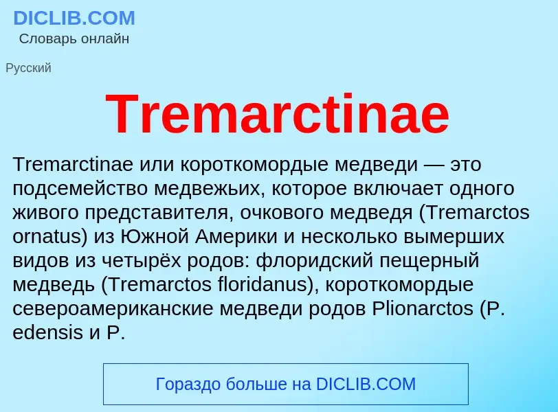 Wat is Tremarctinae - definition