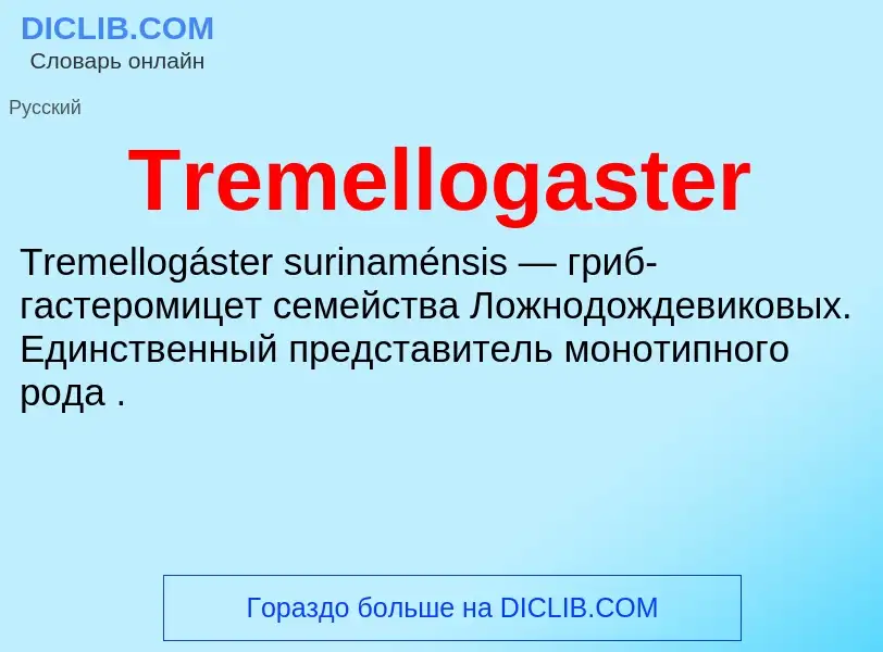 Что такое Tremellogaster - определение