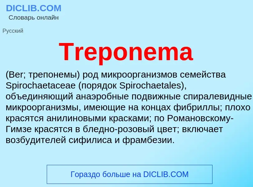 Что такое Treponema  - определение