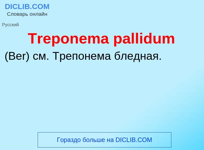 Che cos'è Тreponema pallidum  - definizione