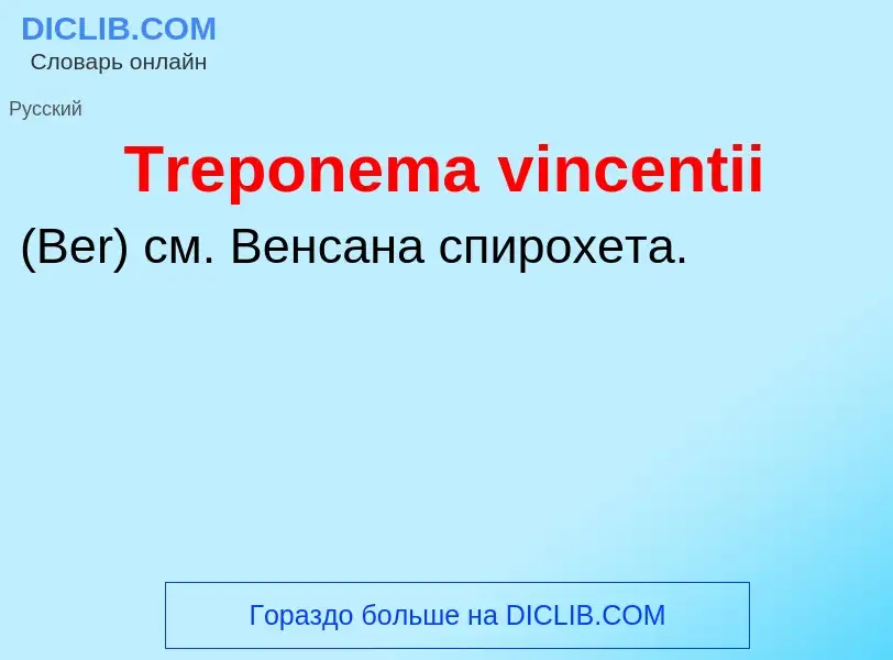 ¿Qué es Тreponema vincentii ? - significado y definición