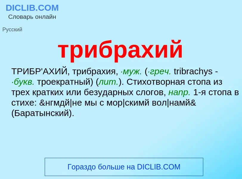 What is трибрахий - definition