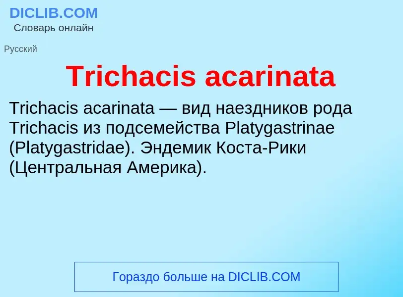 Wat is Trichacis acarinata - definition