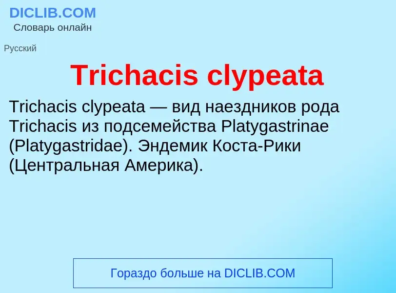 Wat is Trichacis clypeata - definition