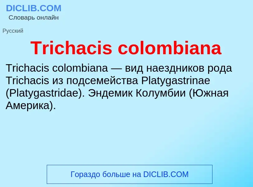 Что такое Trichacis colombiana - определение