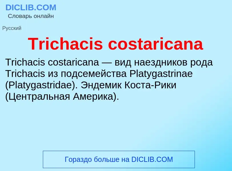 Wat is Trichacis costaricana - definition